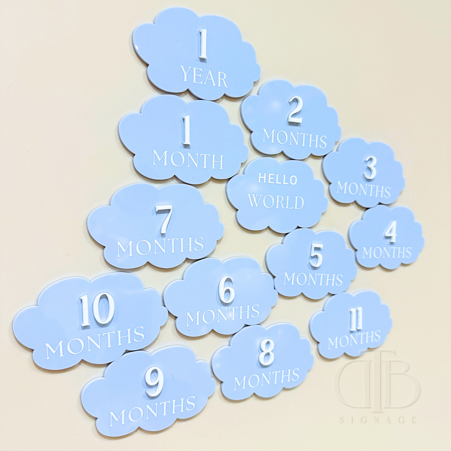 Acrylic Monthly Milestone Disc | Birthday Milestone Acrylic Sign | Acrylic Milestone Signage | Full Set Monthly Milestone Signs | Baby Photo Props | Birth Announcement Signage