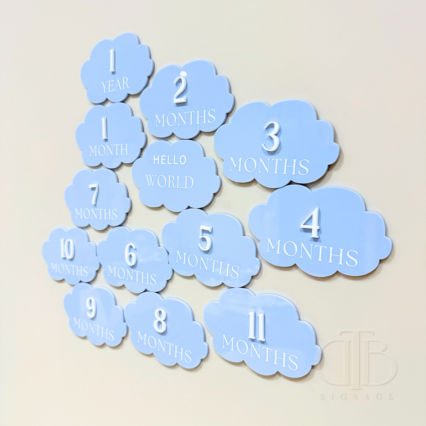 Acrylic Monthly Milestone Disc | Birthday Milestone Acrylic Sign | Acrylic Milestone Signage | Full Set Monthly Milestone Signs | Baby Photo Props | Birth Announcement Signage