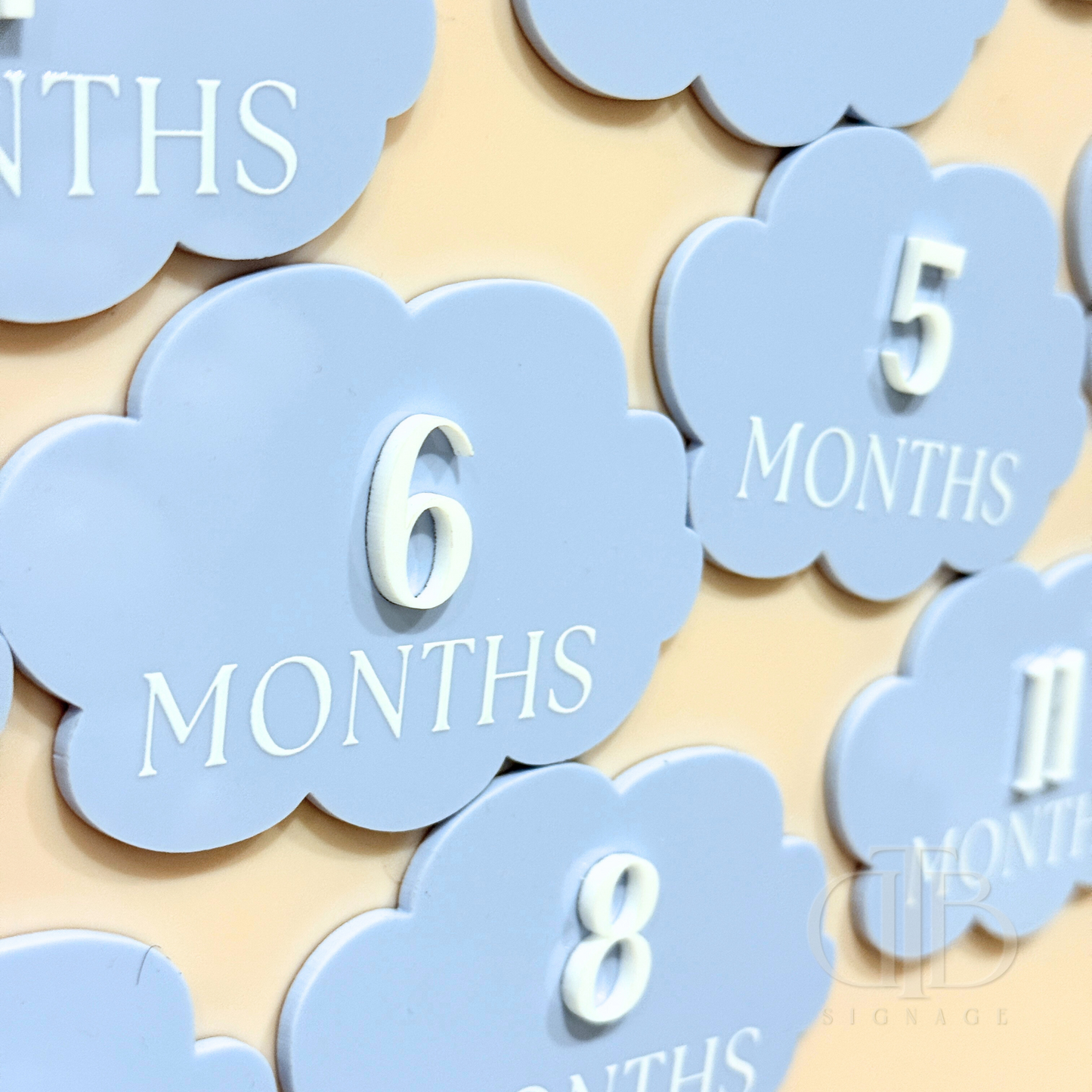 Acrylic Monthly Milestone Disc | Birthday Milestone Acrylic Sign | Acrylic Milestone Signage | Full Set Monthly Milestone Signs | Baby Photo Props | Birth Announcement Signage