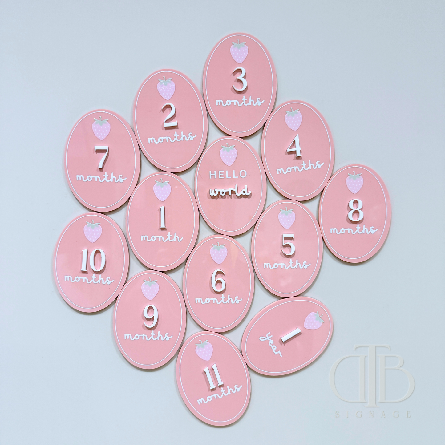 Acrylic Monthly Milestone Disc | Birthday Milestone Acrylic Sign | Full Set Monthly Milestone Signs | Baby Photo Props | Birth Announcement Signage | Strawberry Accent