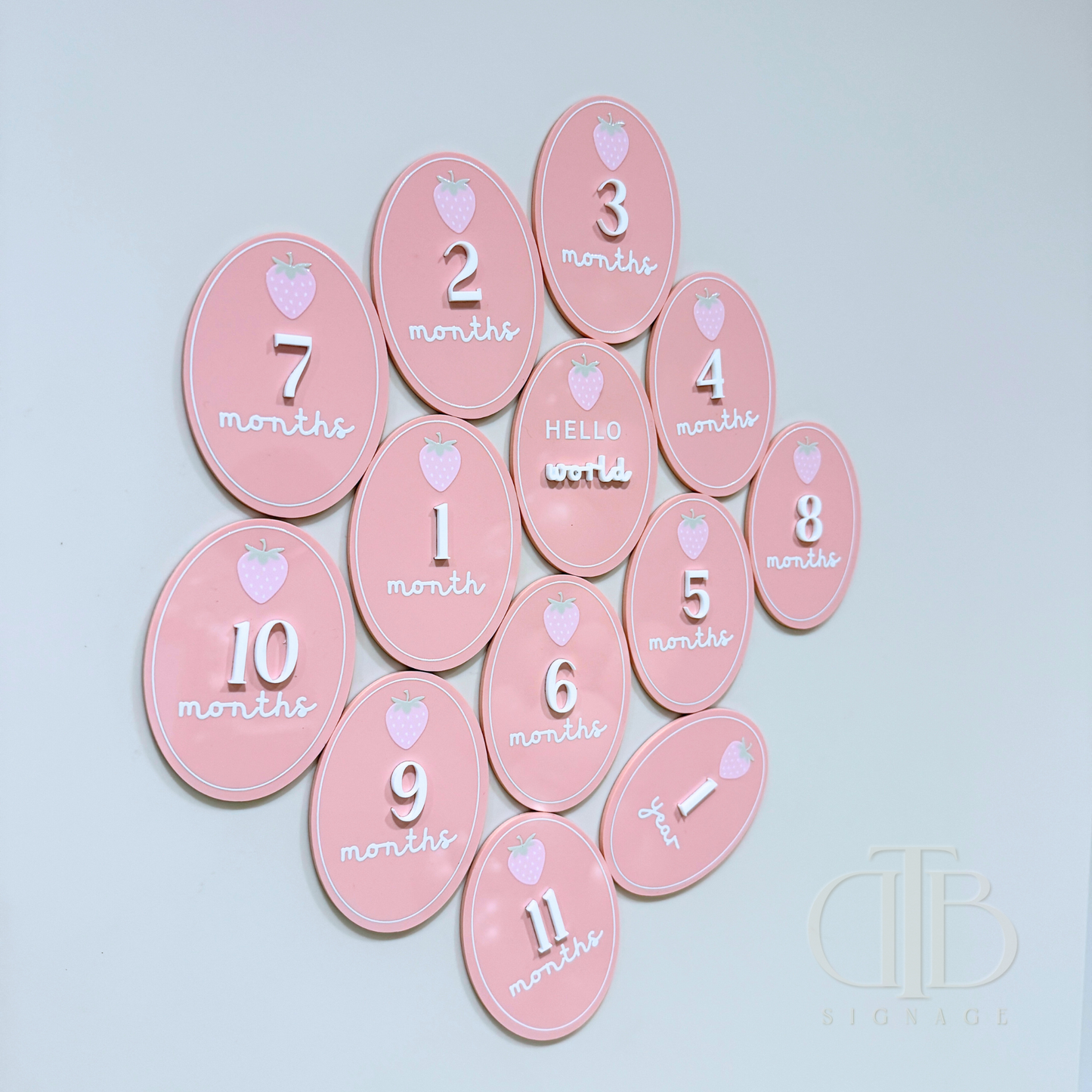Acrylic Monthly Milestone Disc | Birthday Milestone Acrylic Sign | Full Set Monthly Milestone Signs | Baby Photo Props | Birth Announcement Signage | Strawberry Accent