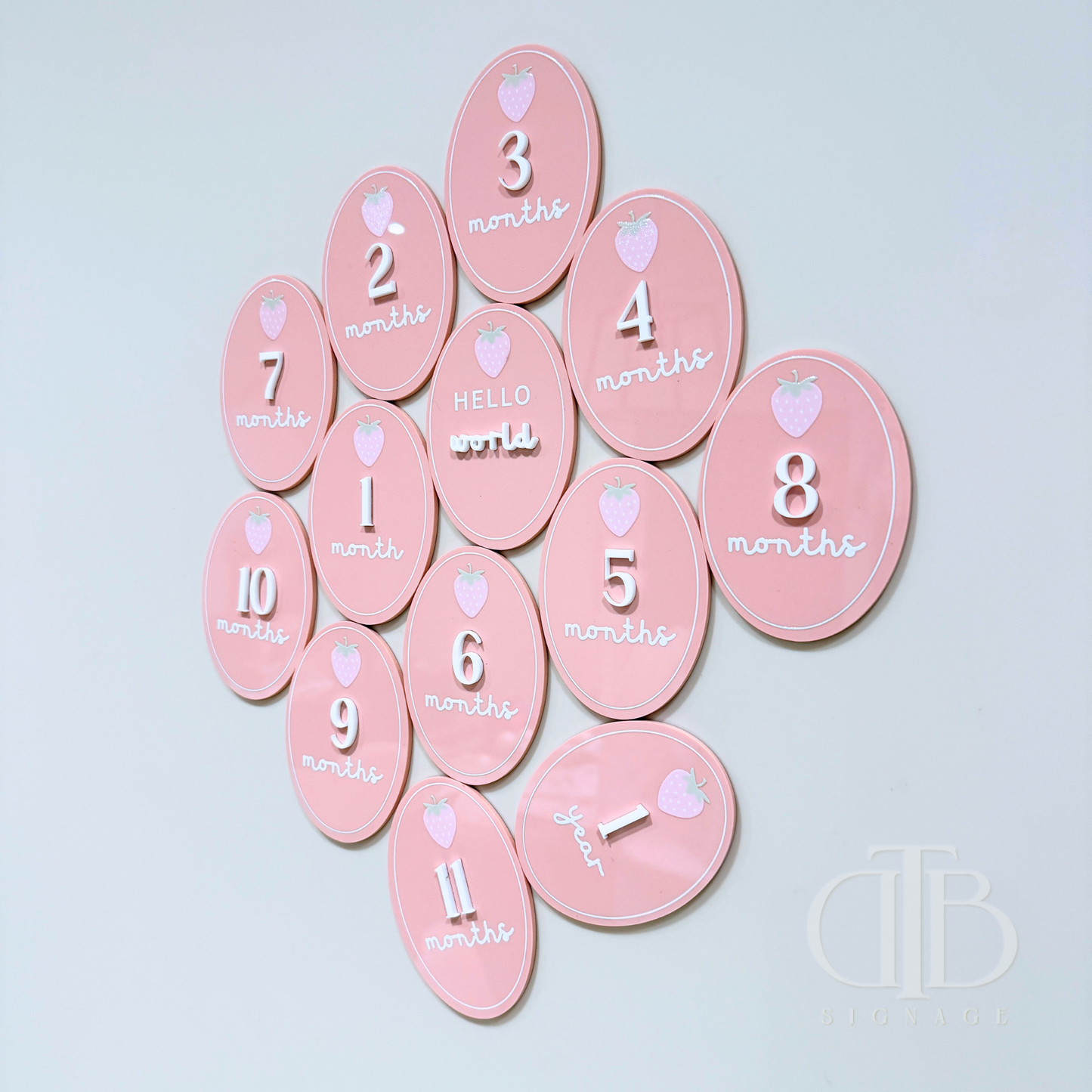 Acrylic Monthly Milestone Disc | Birthday Milestone Acrylic Sign | Full Set Monthly Milestone Signs | Baby Photo Props | Birth Announcement Signage | Strawberry Accent