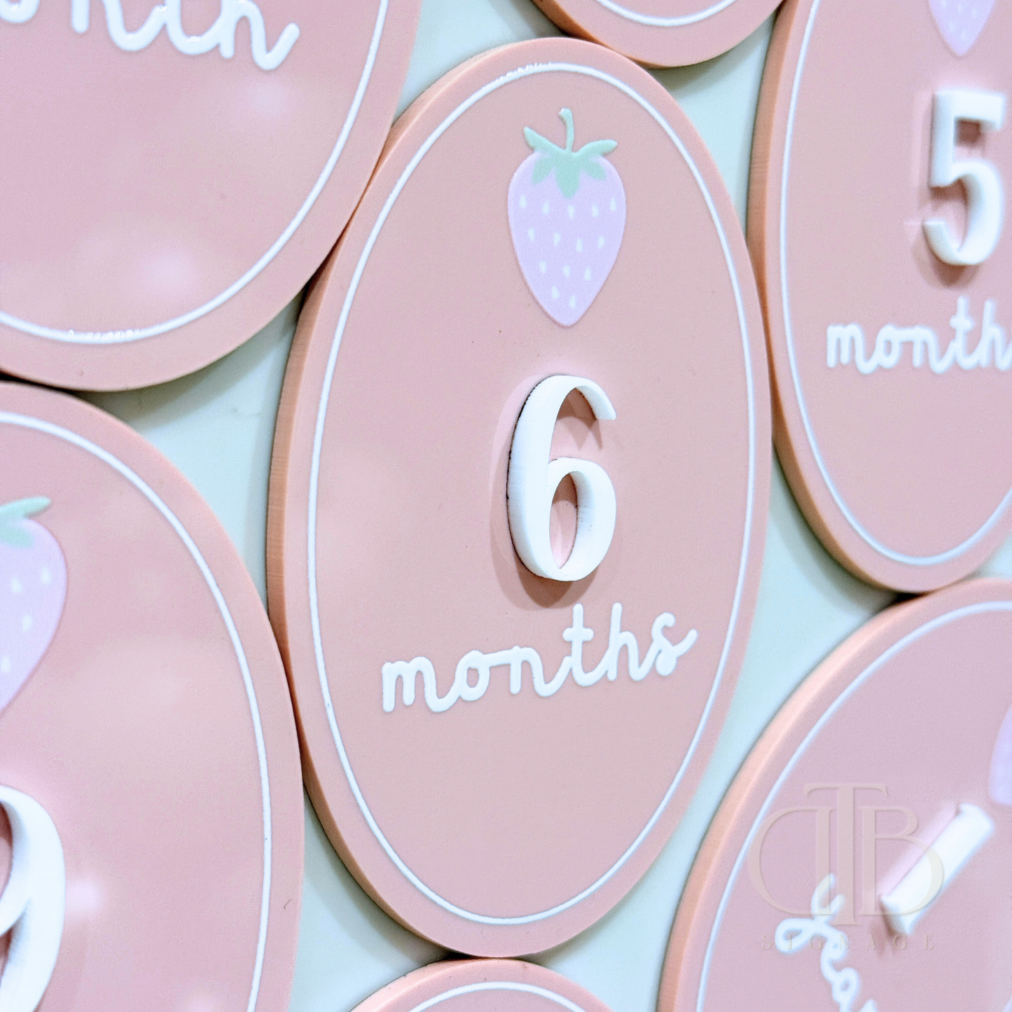 Acrylic Monthly Milestone Disc | Birthday Milestone Acrylic Sign | Full Set Monthly Milestone Signs | Baby Photo Props | Birth Announcement Signage | Strawberry Accent