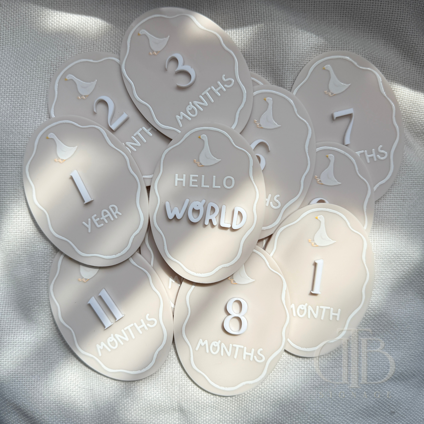 Acrylic Monthly Milestone Disc | Birthday Milestone Acrylic Sign Full Set Monthly Milestone Signs | Baby Photo Props | Birth Announcement Signage | Duck Accent