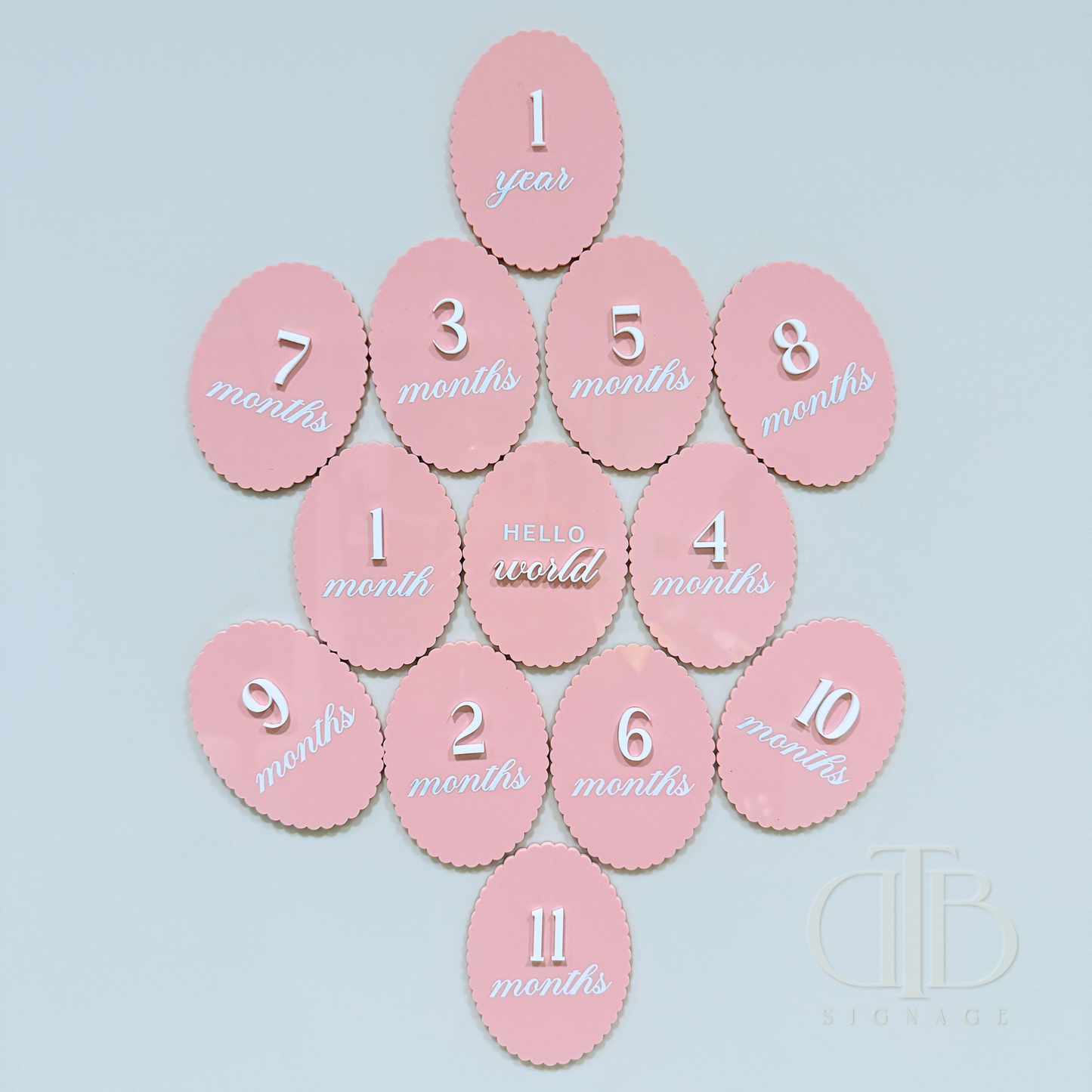 Acrylic Monthly Milestone Disc | Birthday Milestone Acrylic Sign | Full Set Monthly Milestone Signs | Baby Photo Props | Birth Announcement Signage