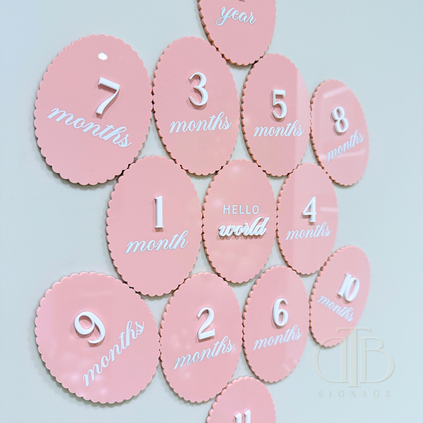 Acrylic Monthly Milestone Disc | Birthday Milestone Acrylic Sign | Full Set Monthly Milestone Signs | Baby Photo Props | Birth Announcement Signage