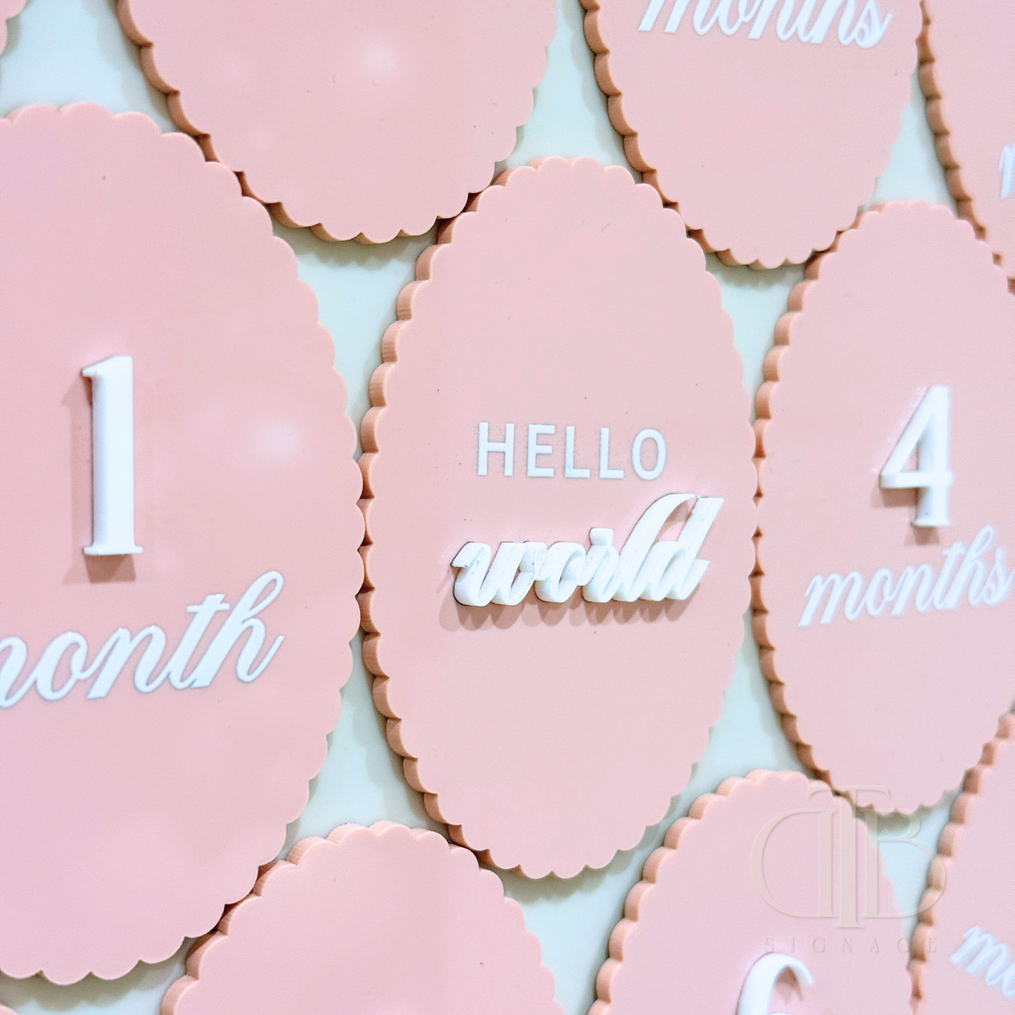 Acrylic Monthly Milestone Disc | Birthday Milestone Acrylic Sign | Full Set Monthly Milestone Signs | Baby Photo Props | Birth Announcement Signage