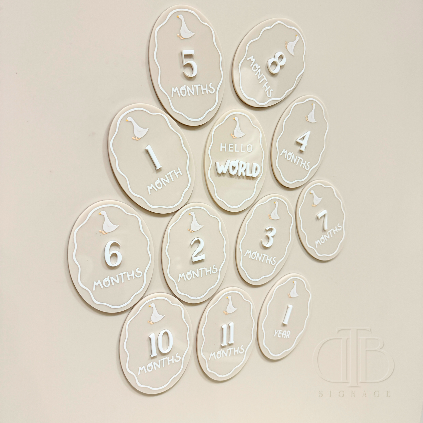 Acrylic Monthly Milestone Disc | Birthday Milestone Acrylic Sign Full Set Monthly Milestone Signs | Baby Photo Props | Birth Announcement Signage | Duck Accent