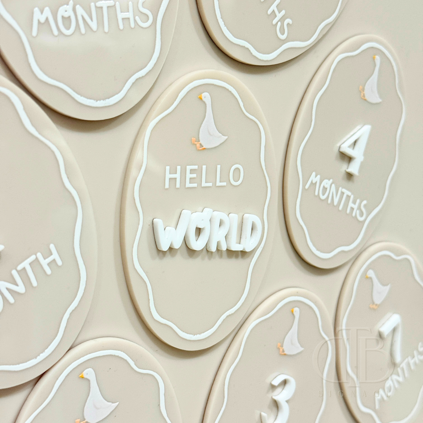 Acrylic Monthly Milestone Disc | Birthday Milestone Acrylic Sign Full Set Monthly Milestone Signs | Baby Photo Props | Birth Announcement Signage | Duck Accent