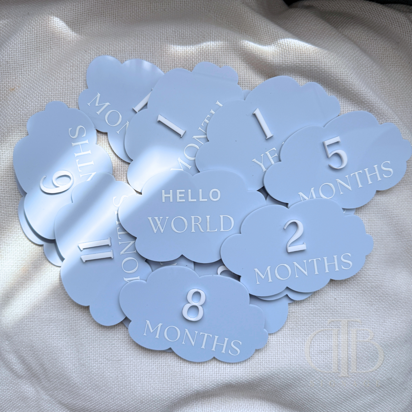 Acrylic Monthly Milestone Disc | Birthday Milestone Acrylic Sign | Acrylic Milestone Signage | Full Set Monthly Milestone Signs | Baby Photo Props | Birth Announcement Signage