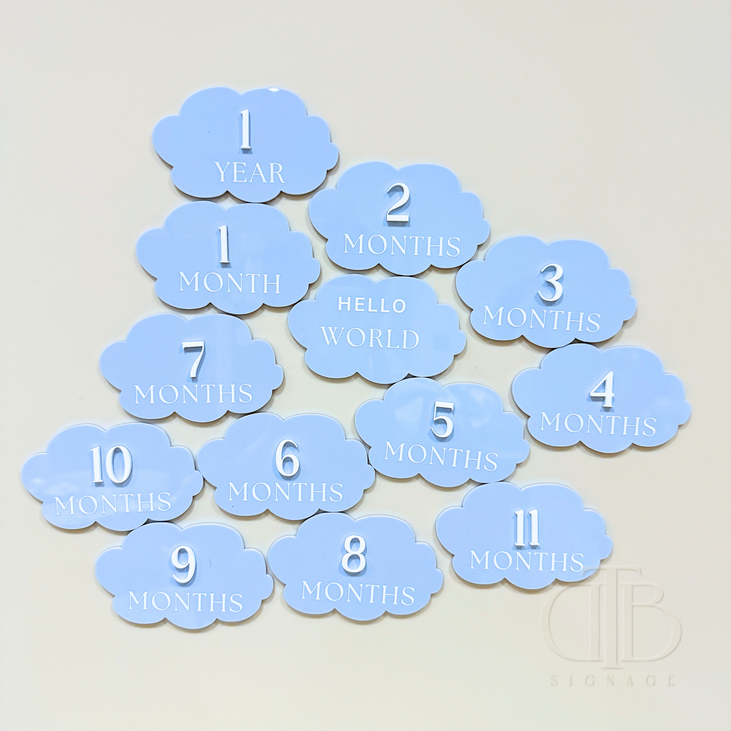 Acrylic Monthly Milestone Disc | Birthday Milestone Acrylic Sign | Acrylic Milestone Signage | Full Set Monthly Milestone Signs | Baby Photo Props | Birth Announcement Signage