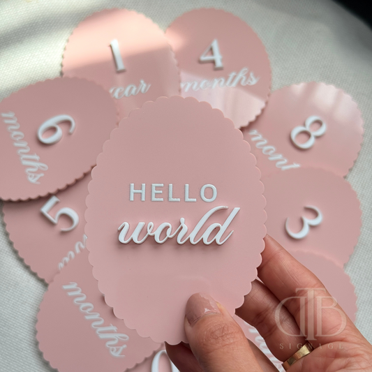 Acrylic Monthly Milestone Disc | Birthday Milestone Acrylic Sign | Full Set Monthly Milestone Signs | Baby Photo Props | Birth Announcement Signage