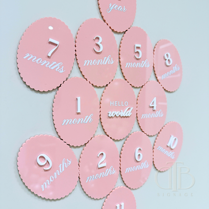 Acrylic Monthly Milestone Disc | Birthday Milestone Acrylic Sign | Full Set Monthly Milestone Signs | Baby Photo Props | Birth Announcement Signage
