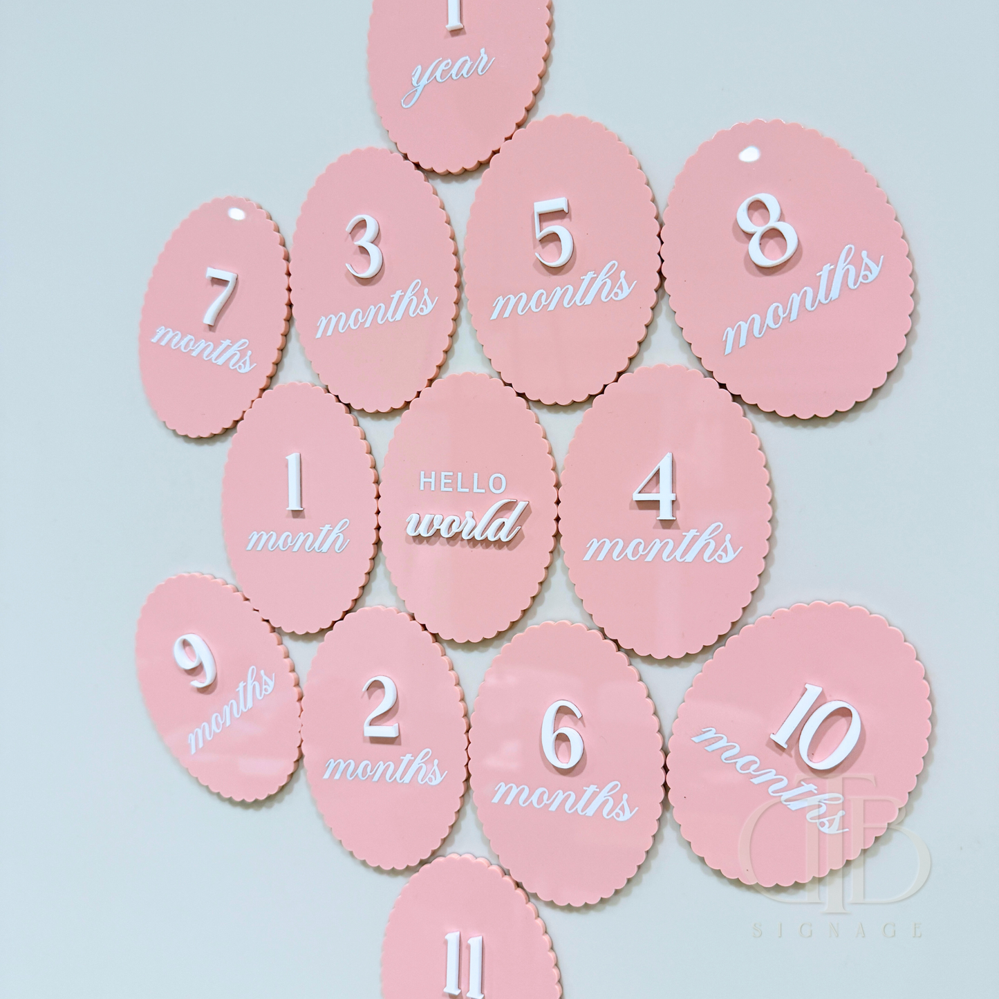 Acrylic Monthly Milestone Disc | Birthday Milestone Acrylic Sign | Full Set Monthly Milestone Signs | Baby Photo Props | Birth Announcement Signage