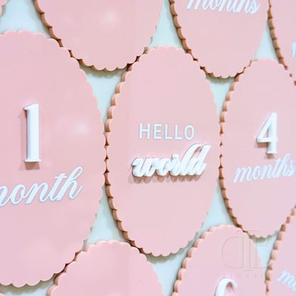 Acrylic Monthly Milestone Disc | Birthday Milestone Acrylic Sign | Full Set Monthly Milestone Signs | Baby Photo Props | Birth Announcement Signage