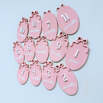 Acrylic Birth Milestone Signage | Birthday Milestone Sign | Full Set Monthly Milestone Signs | Baby Photo Props | Birth Announcement Signage | Bow Accent