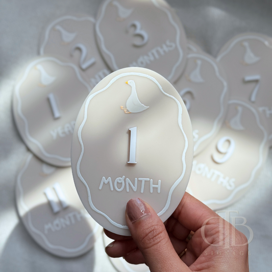 Acrylic Monthly Milestone Disc | Birthday Milestone Acrylic Sign  Full Set Monthly Milestone Signs | Baby Photo Props | Birth Announcement Signage | Duck Accent