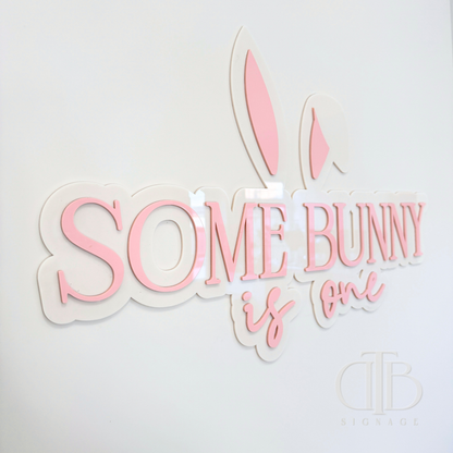 Some Bunny is One Theme Signage | Acrylic Birthday Signage | Double Layer Acrylic