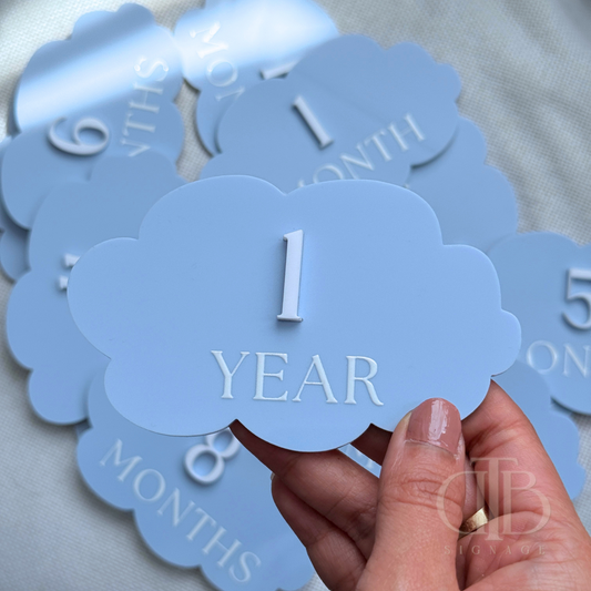 Acrylic Monthly Milestone Disc | Birthday Milestone Acrylic Sign | Acrylic Milestone Signage | Full Set Monthly Milestone Signs | Baby Photo Props | Birth Announcement Signage