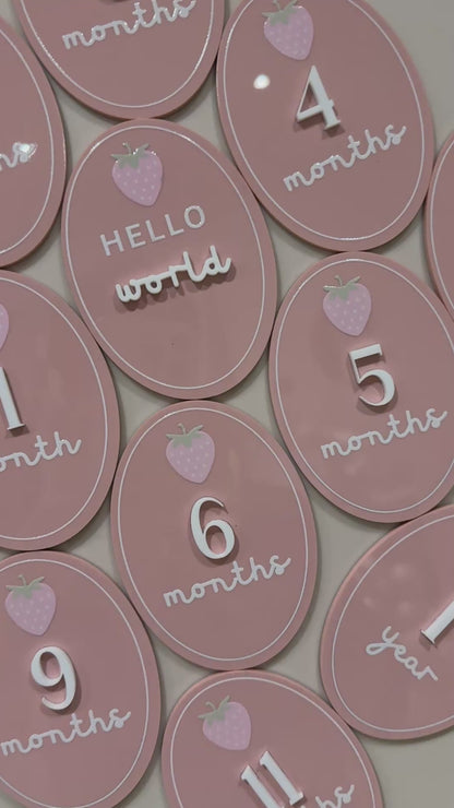Acrylic Monthly Milestone Disc | Birthday Milestone Acrylic Sign  | Full Set Monthly Milestone Signs | Baby Photo Props | Birth Announcement Signage | Strawberry Accent