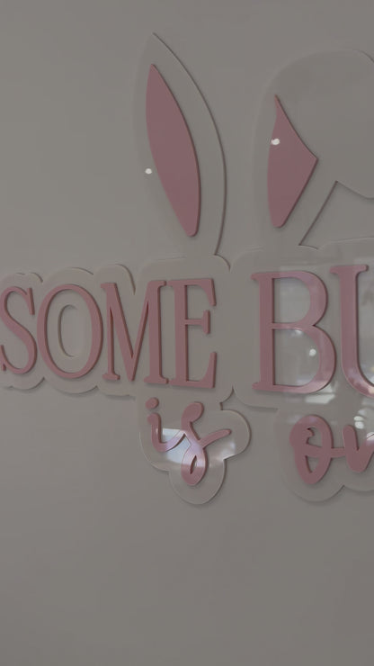 Some Bunny is One Theme Signage | Acrylic Birthday Signage | Double Layer Acrylic