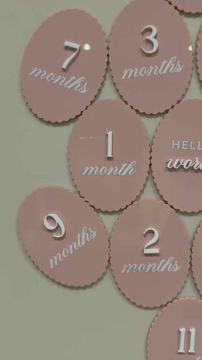 Acrylic Monthly Milestone Disc | Birthday Milestone Acrylic Sign | Full Set Monthly Milestone Signs | Baby Photo Props | Birth Announcement Signage
